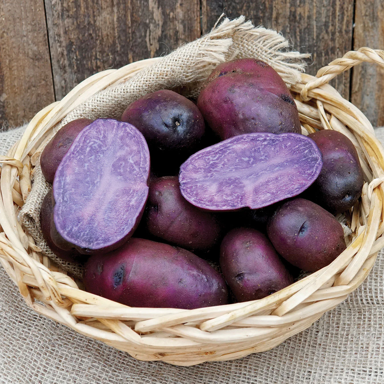 Adirondack Blue Potato