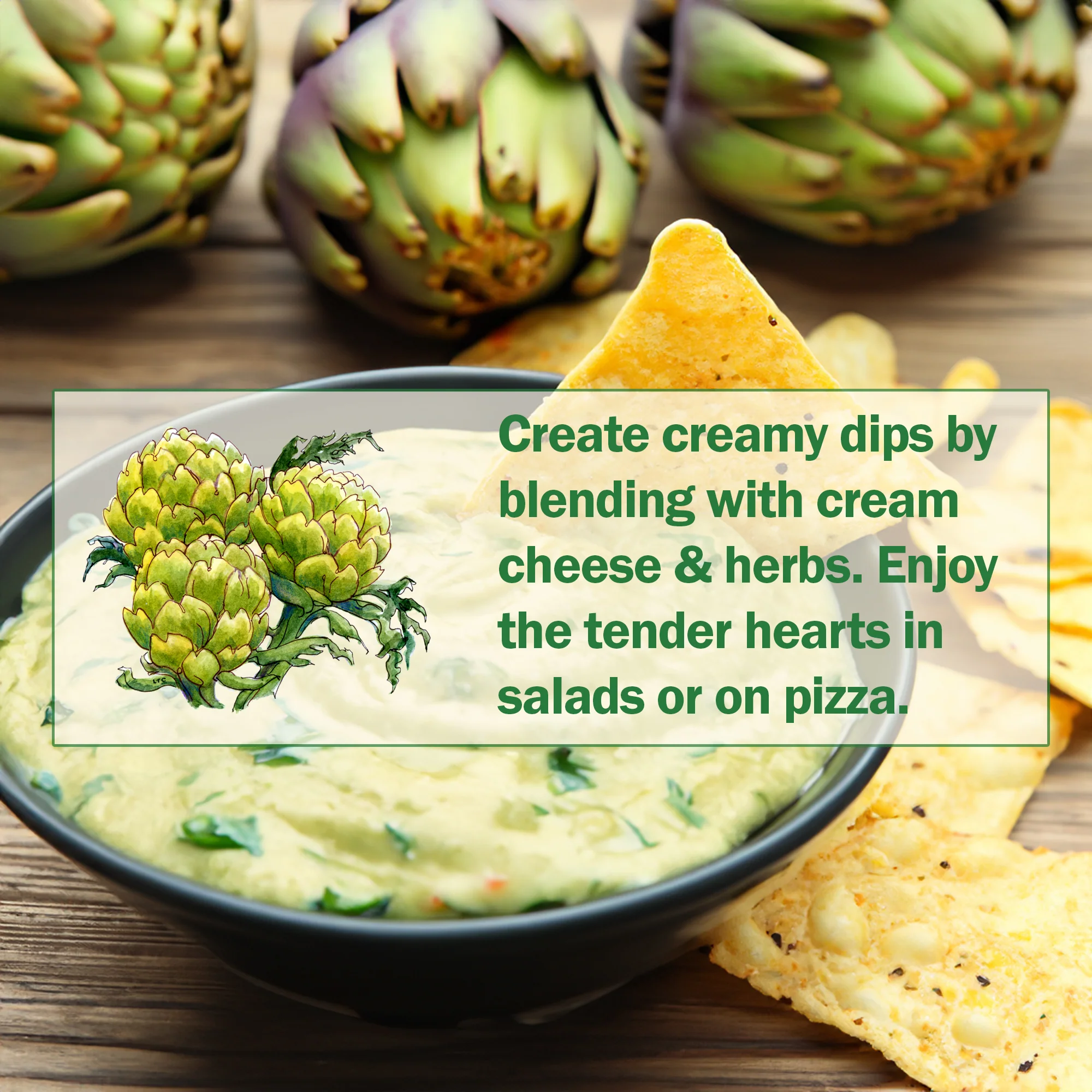 Green Globe Artichoke - Image 3