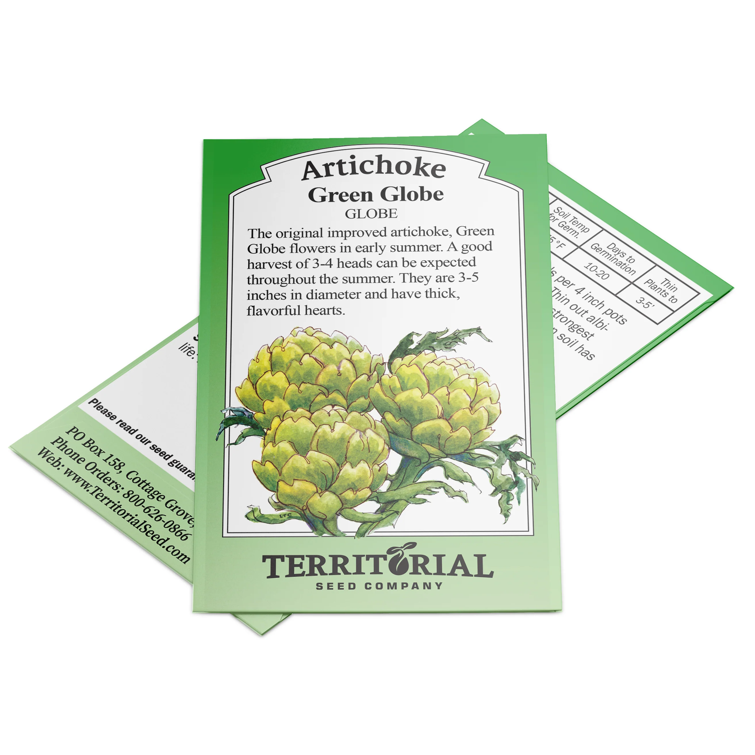 Green Globe Artichoke - Image 4
