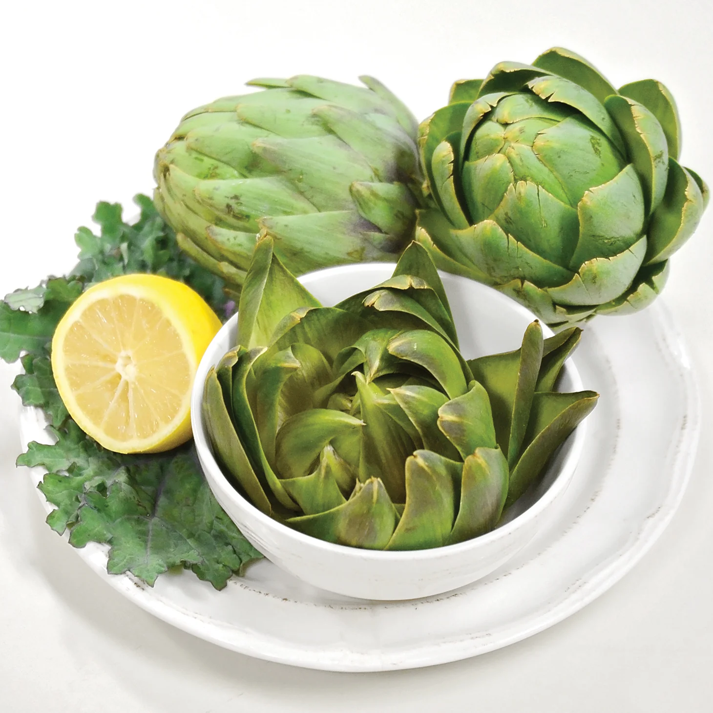Imperial Star Artichoke - Image 5