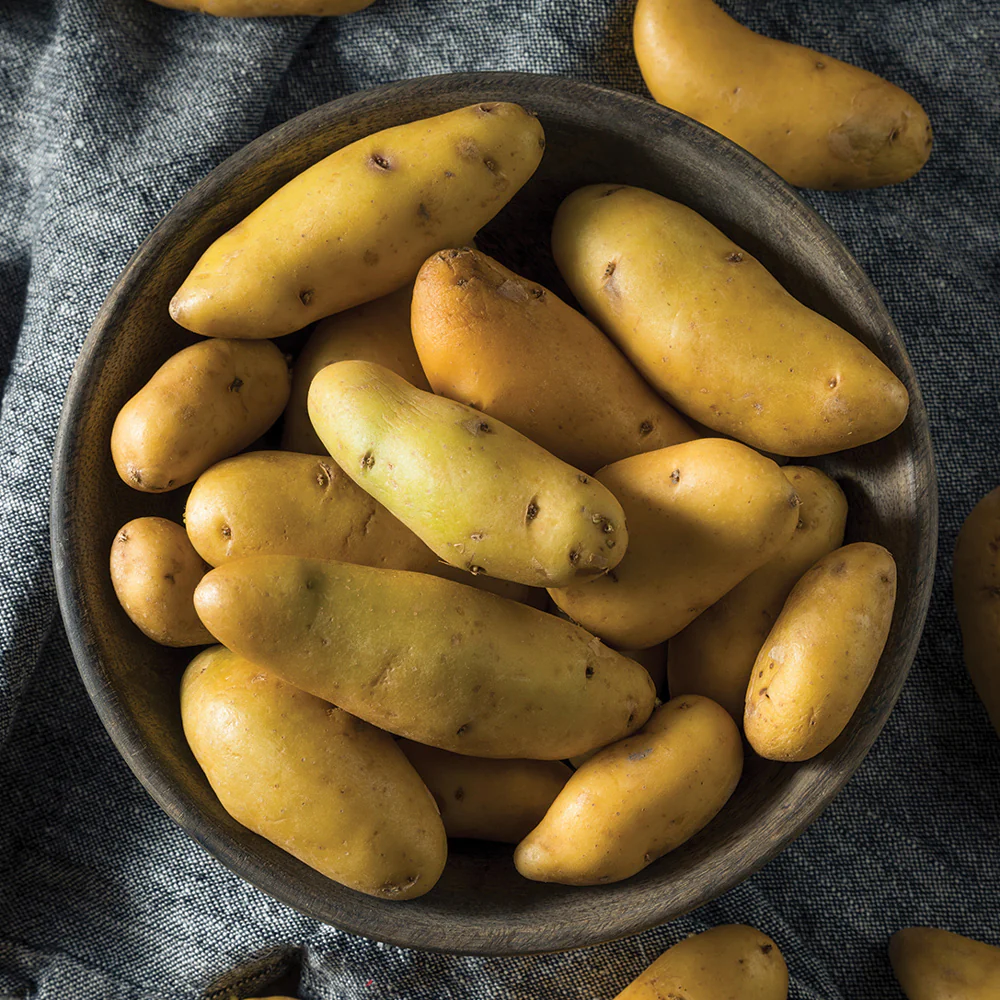 Austrian Crescent Potato - Image 2