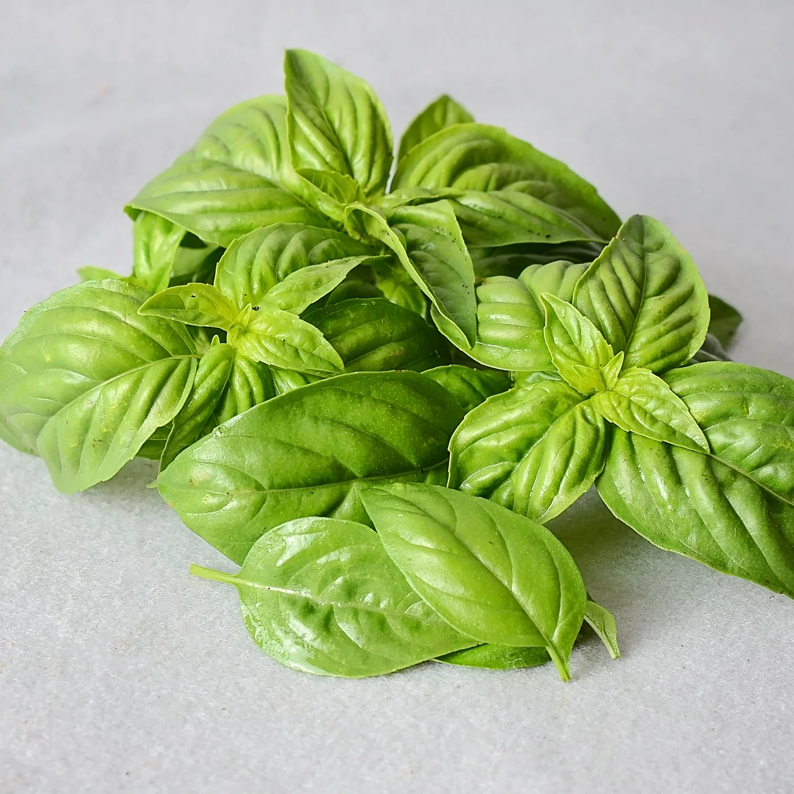 Sweet Basil