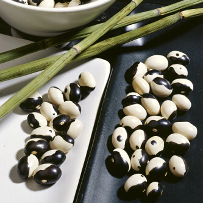 Yin Yang Bean - Image 2