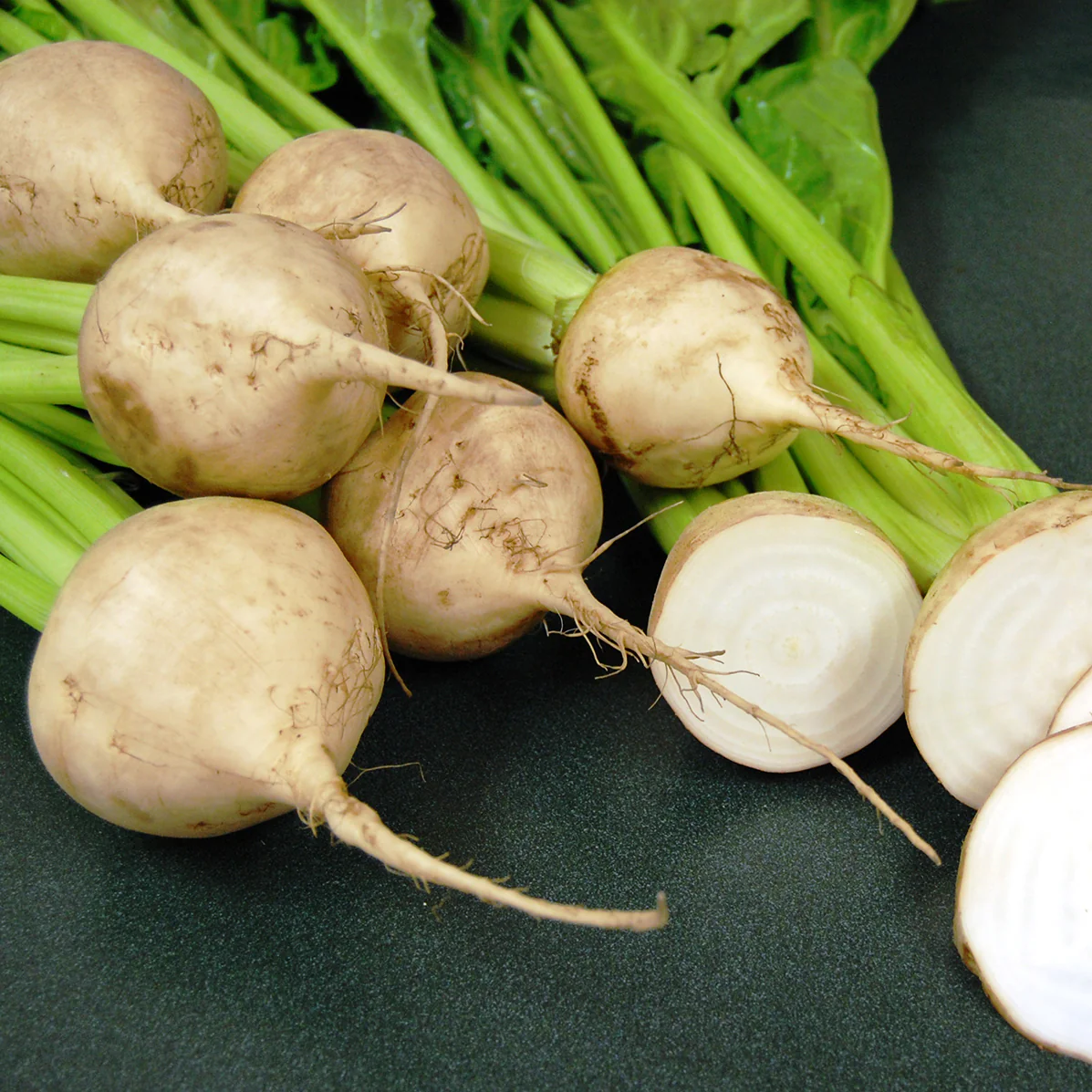 Avalanche Beet - Image 2