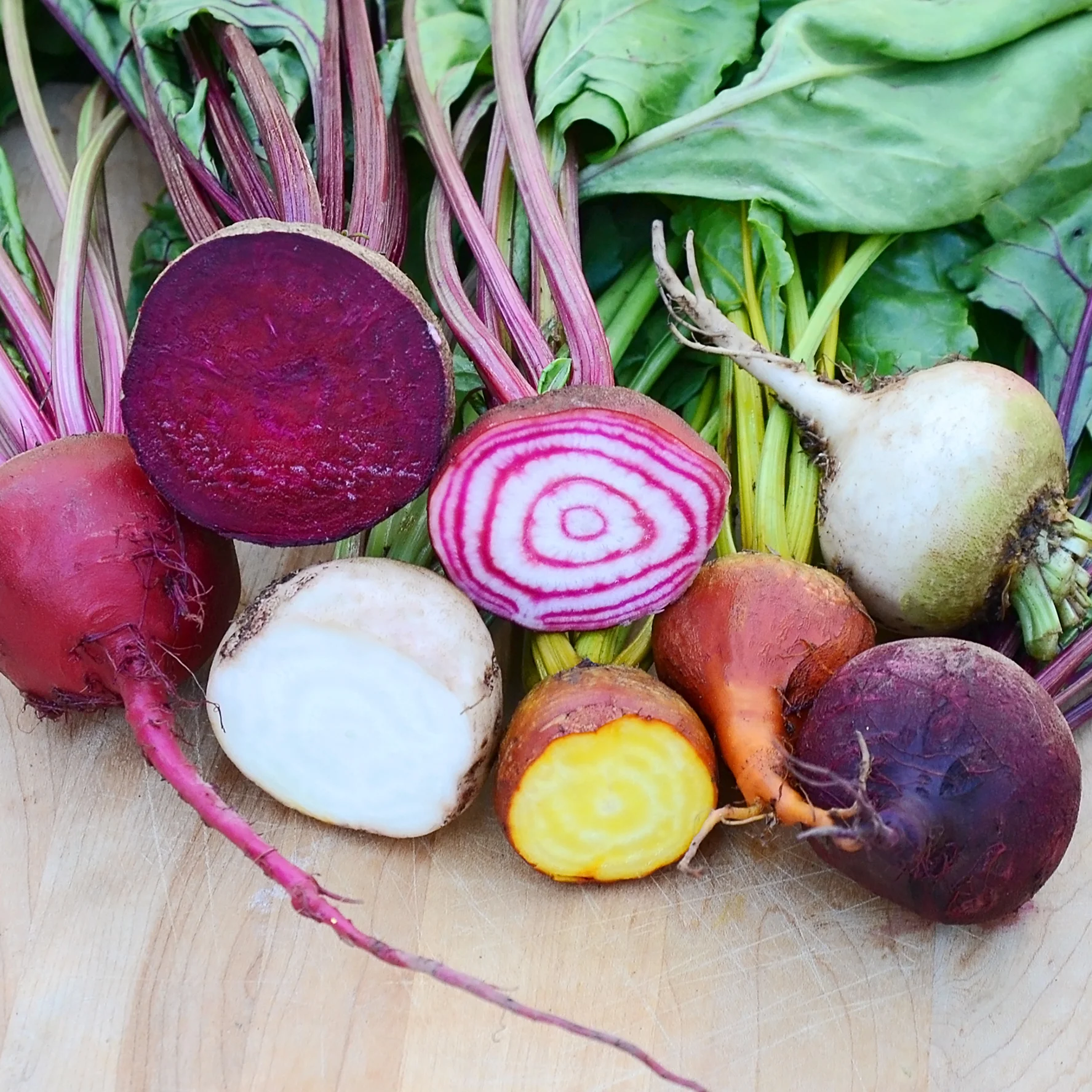 Spring Color Blend Beet - Image 2