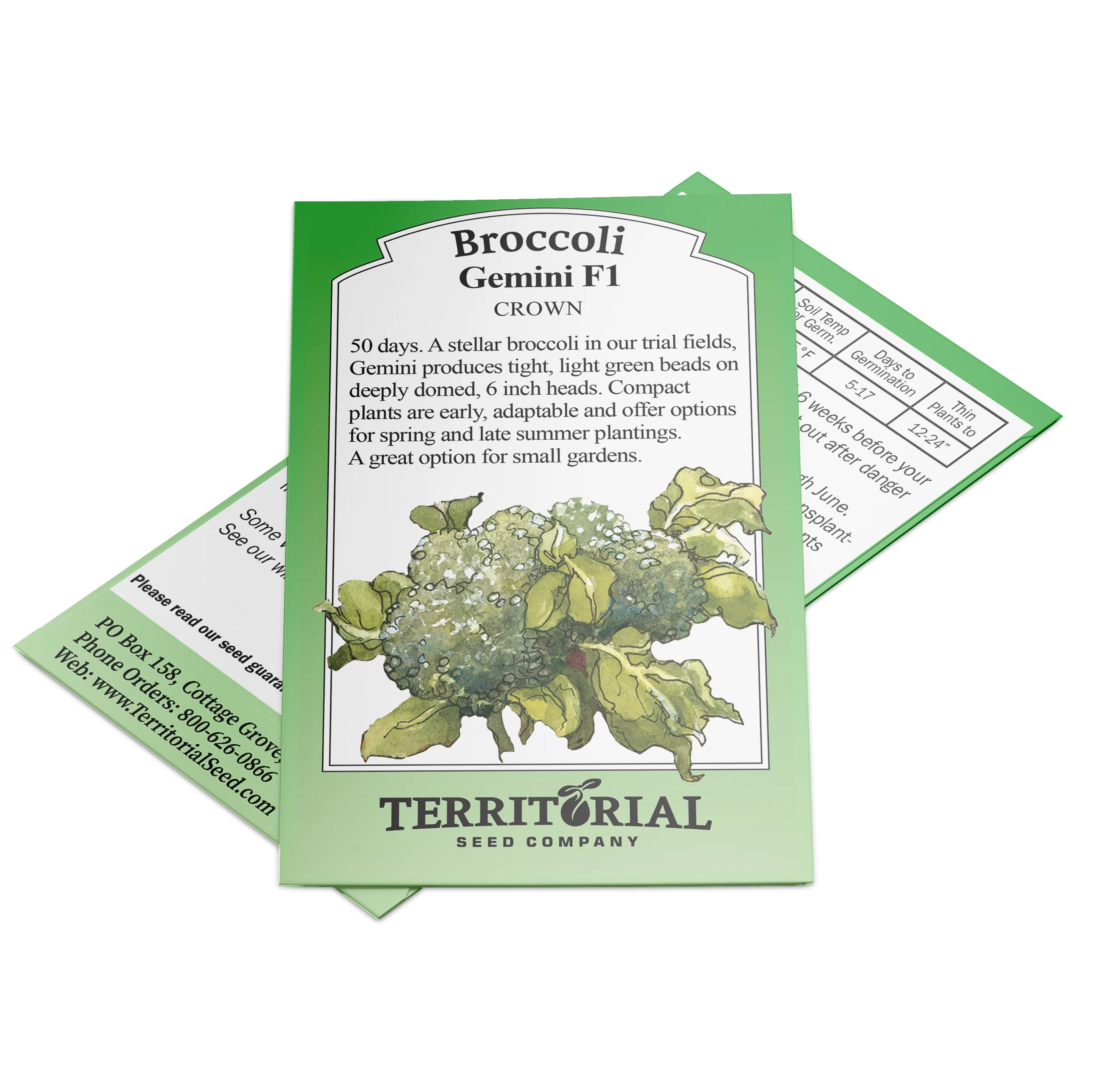 Gemini Broccoli - Image 3