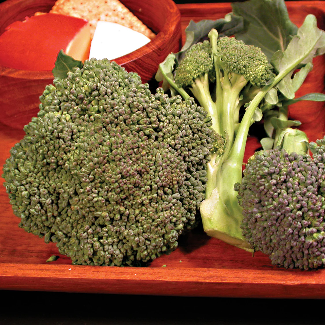 Umpqua Broccoli - Image 2