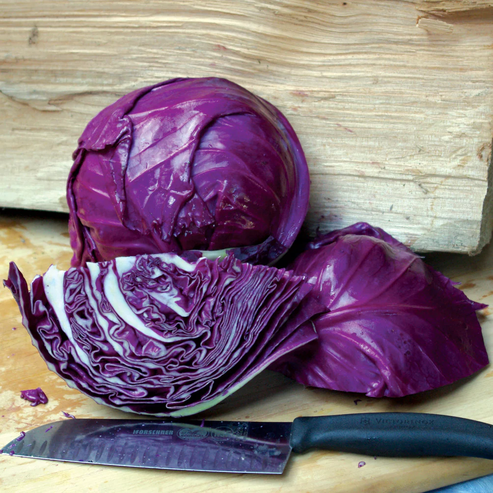 Ruby Ball Improved Cabbage - Image 2