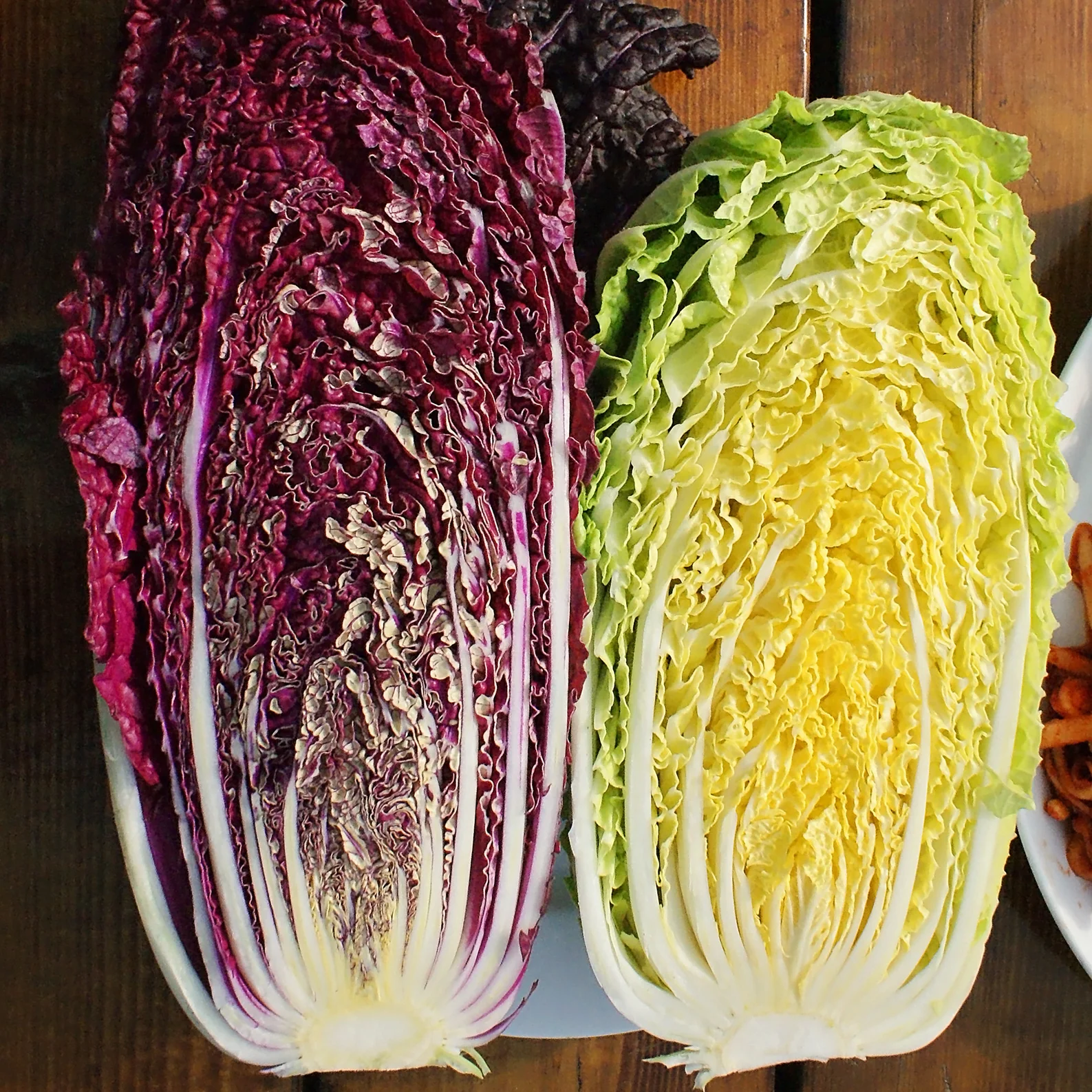 Scarlette Chinese Cabbage - Image 2