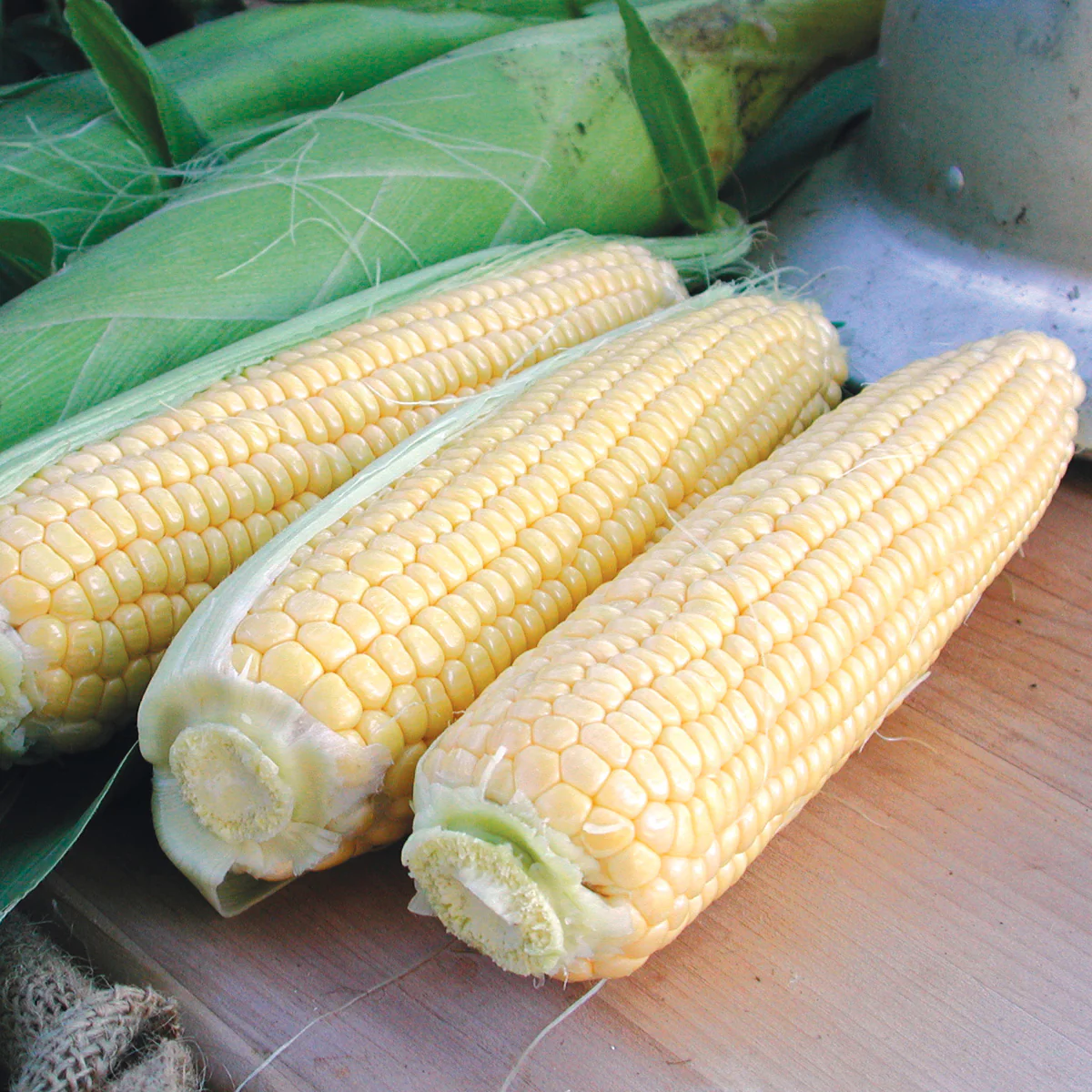 Golden Jubilee Corn - Image 2