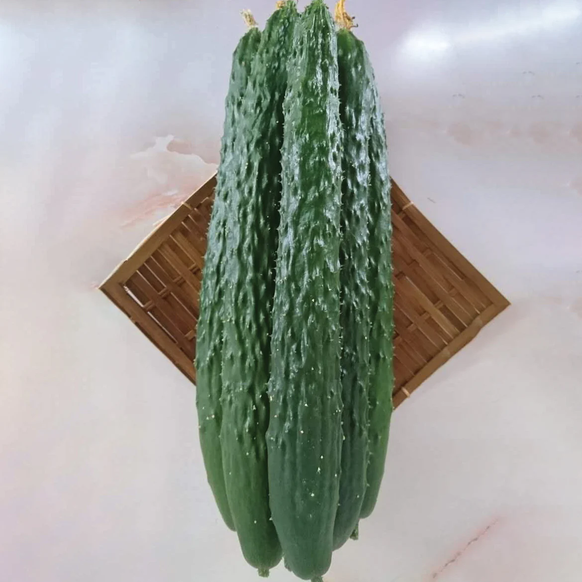 Dragon Suhyo Cross Cucumber - Image 2