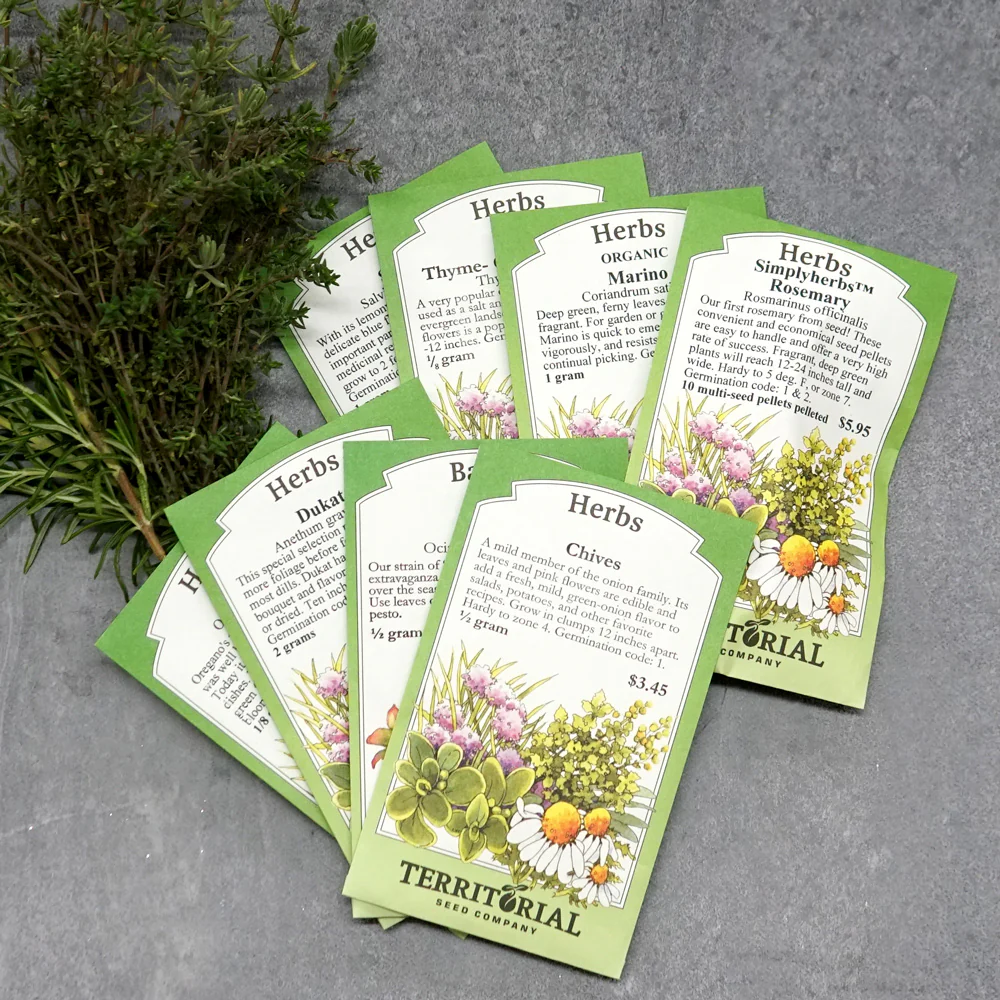 Culinary Herb Garden Essentials