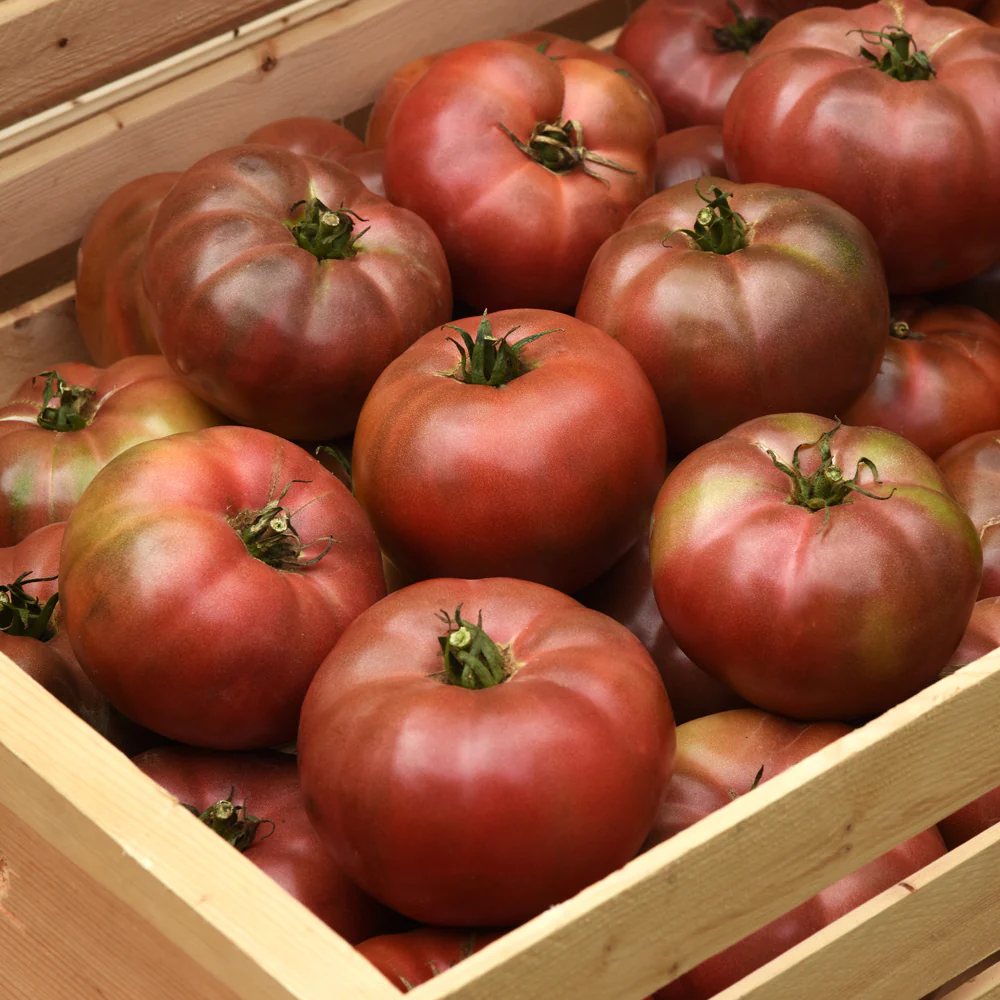 Darkstar Tomato - Image 3