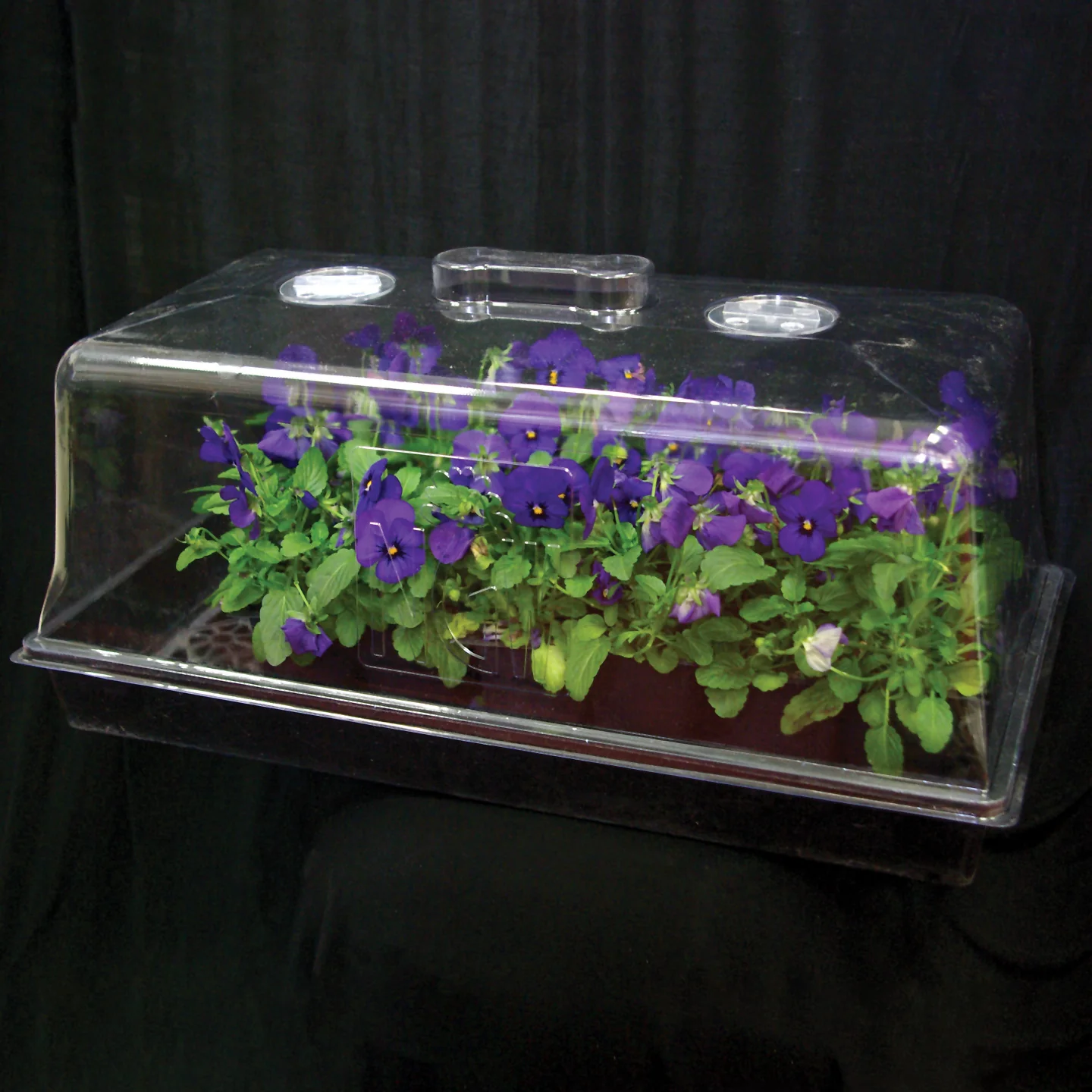 7" Propagation Dome