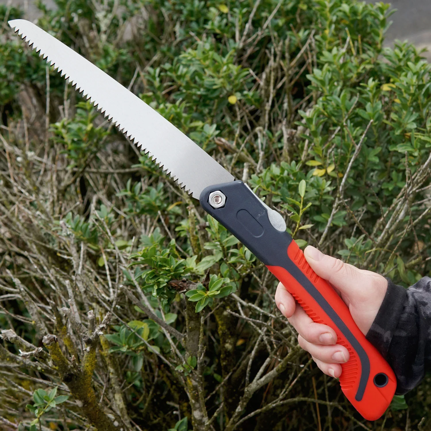 Folding Saw 8" - Image 2