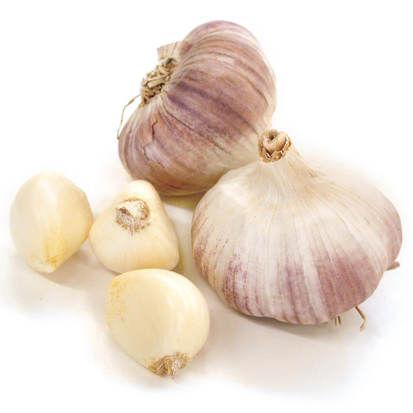 Metechi Garlic - Image 3