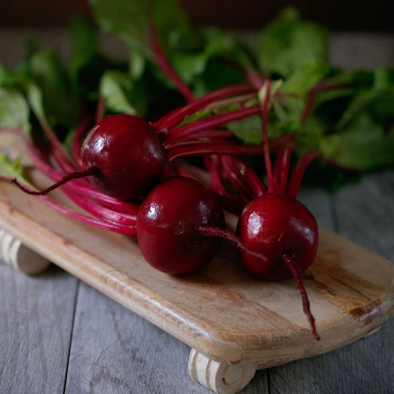 Gemini Beet - Image 3