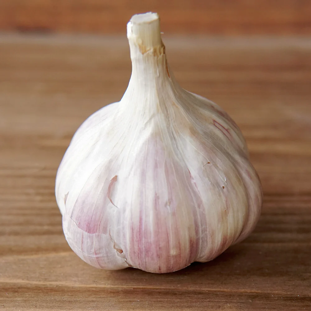 Ivan Garlic - Image 3