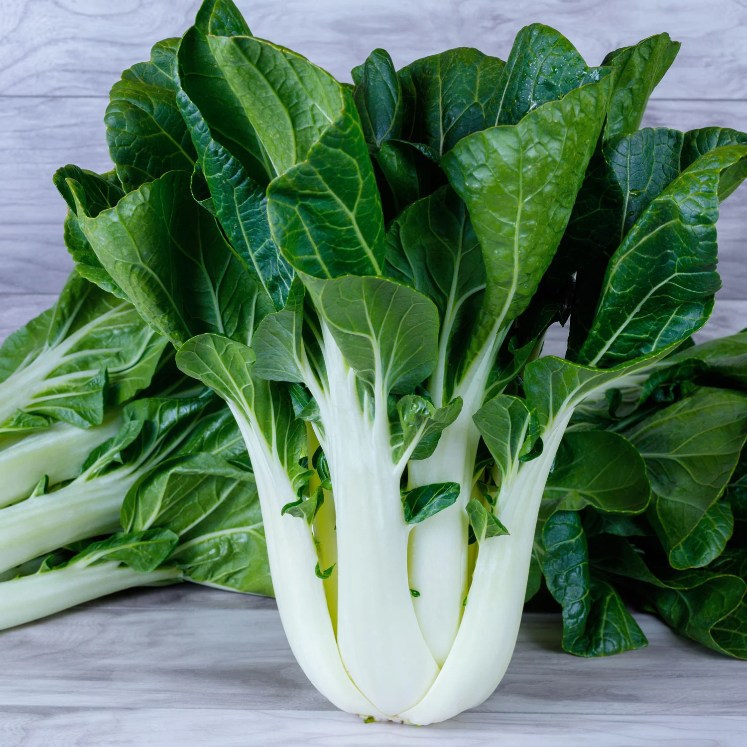 King Choi Pak Choi - Image 4