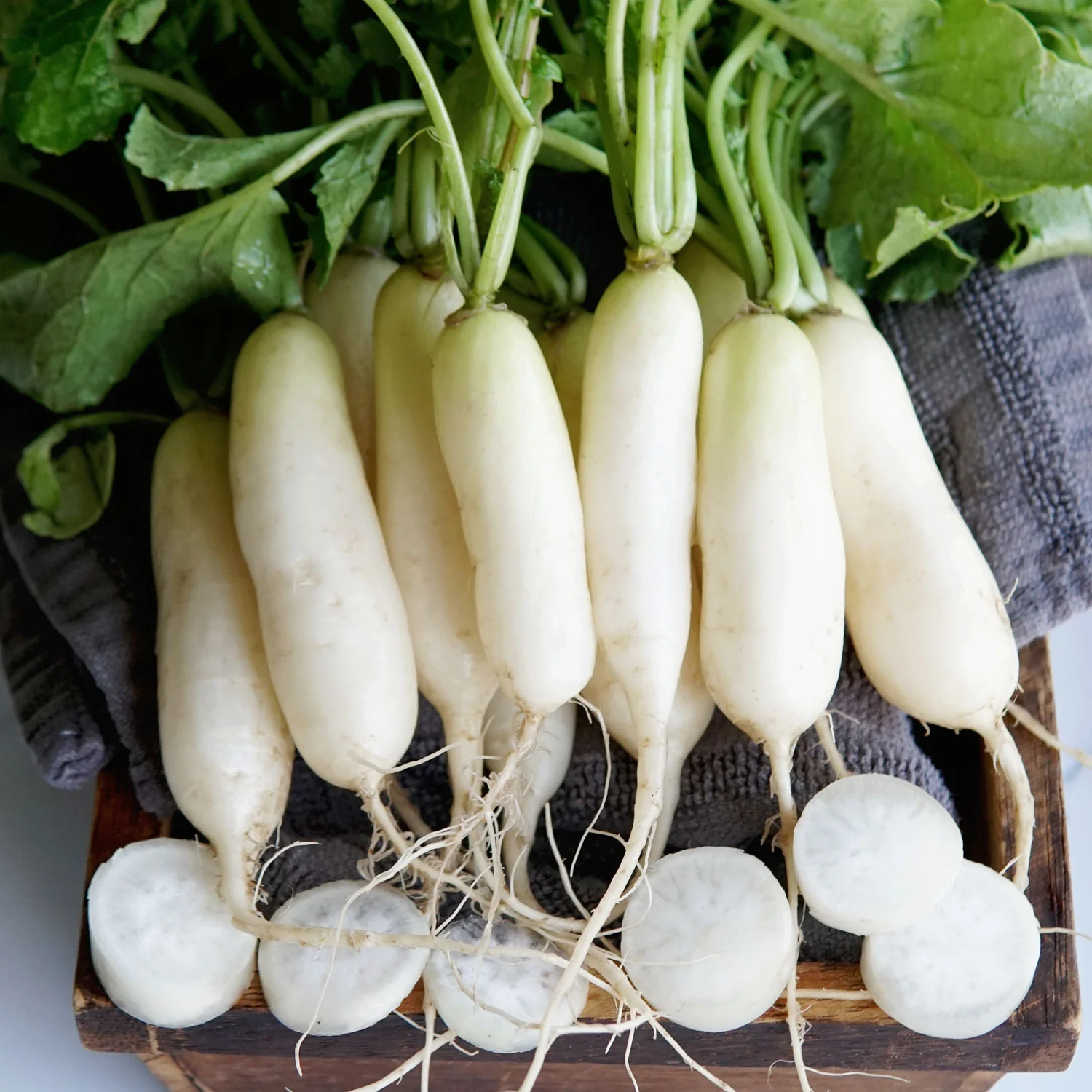 Leda Radish - Image 2