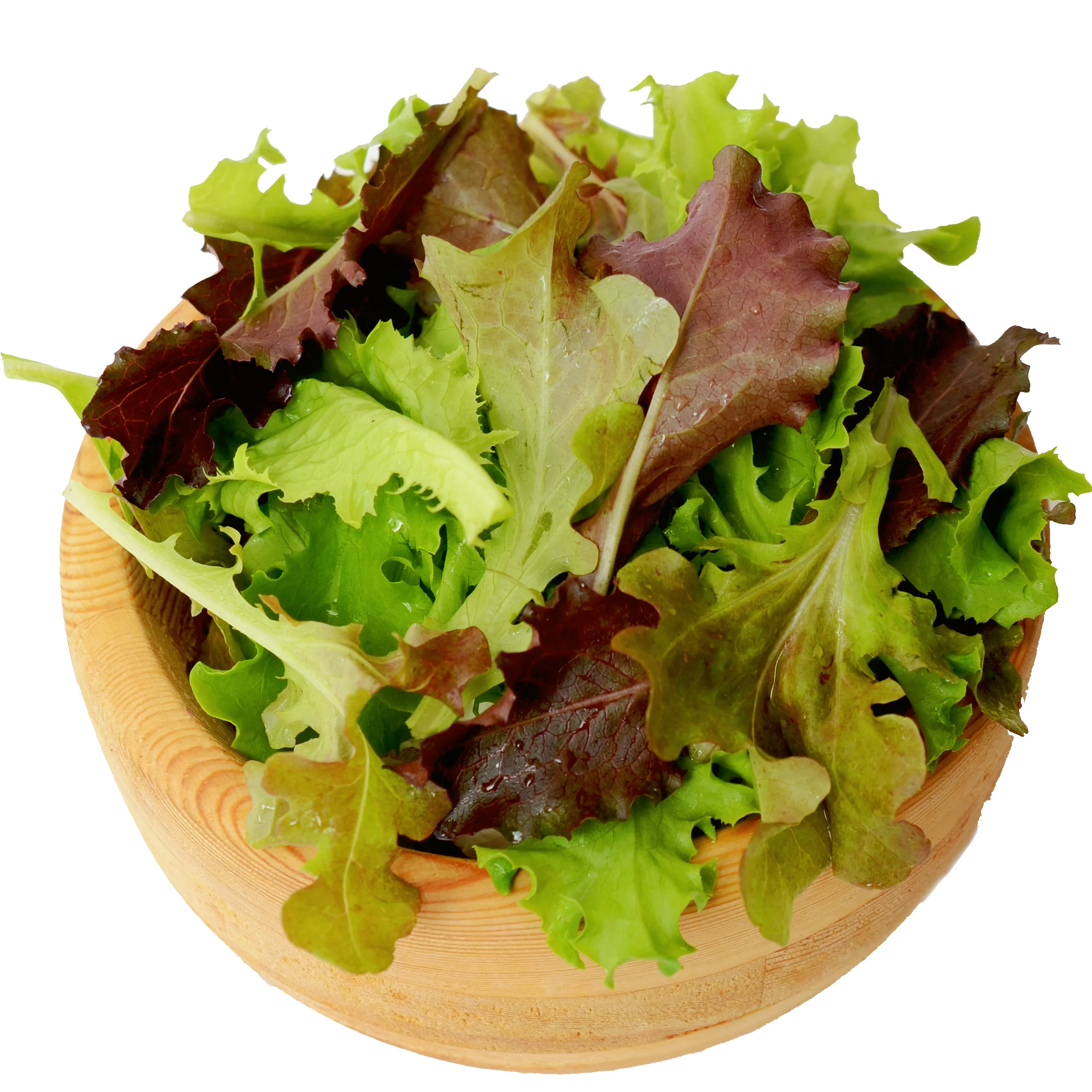 Lofty Salad Mix Lettuce