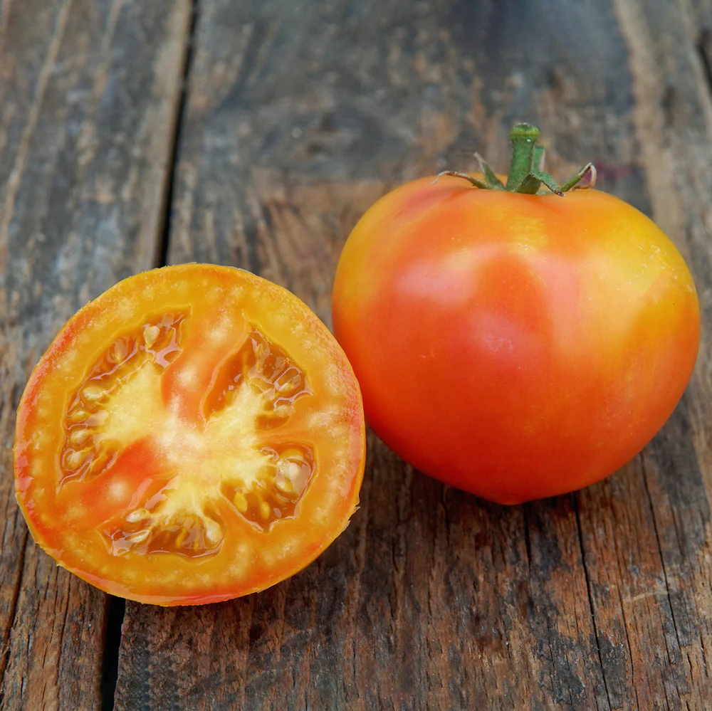 Maitai Tomato - Image 3