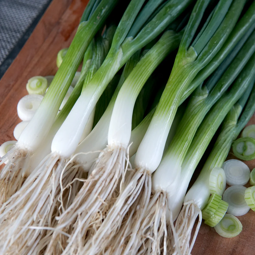 Marksman Onion - Image 2
