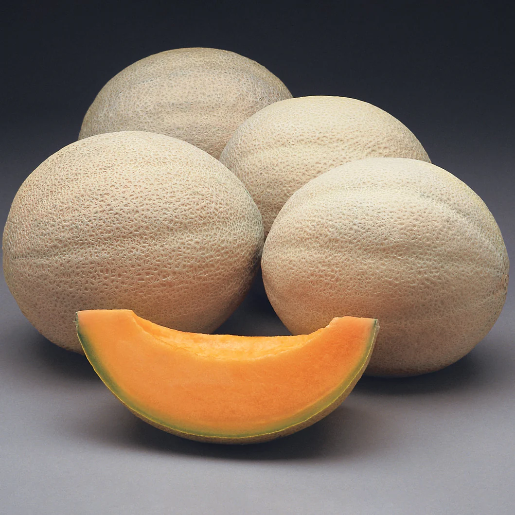 Athena Cantaloupe