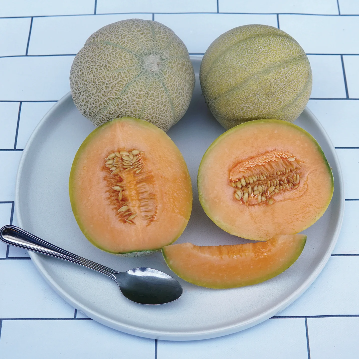 Minnesota Midget Cantaloupe