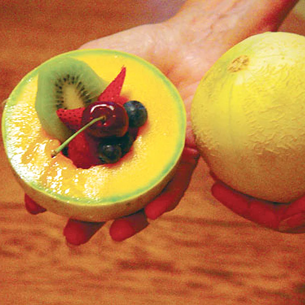 Tasty Bites Melon