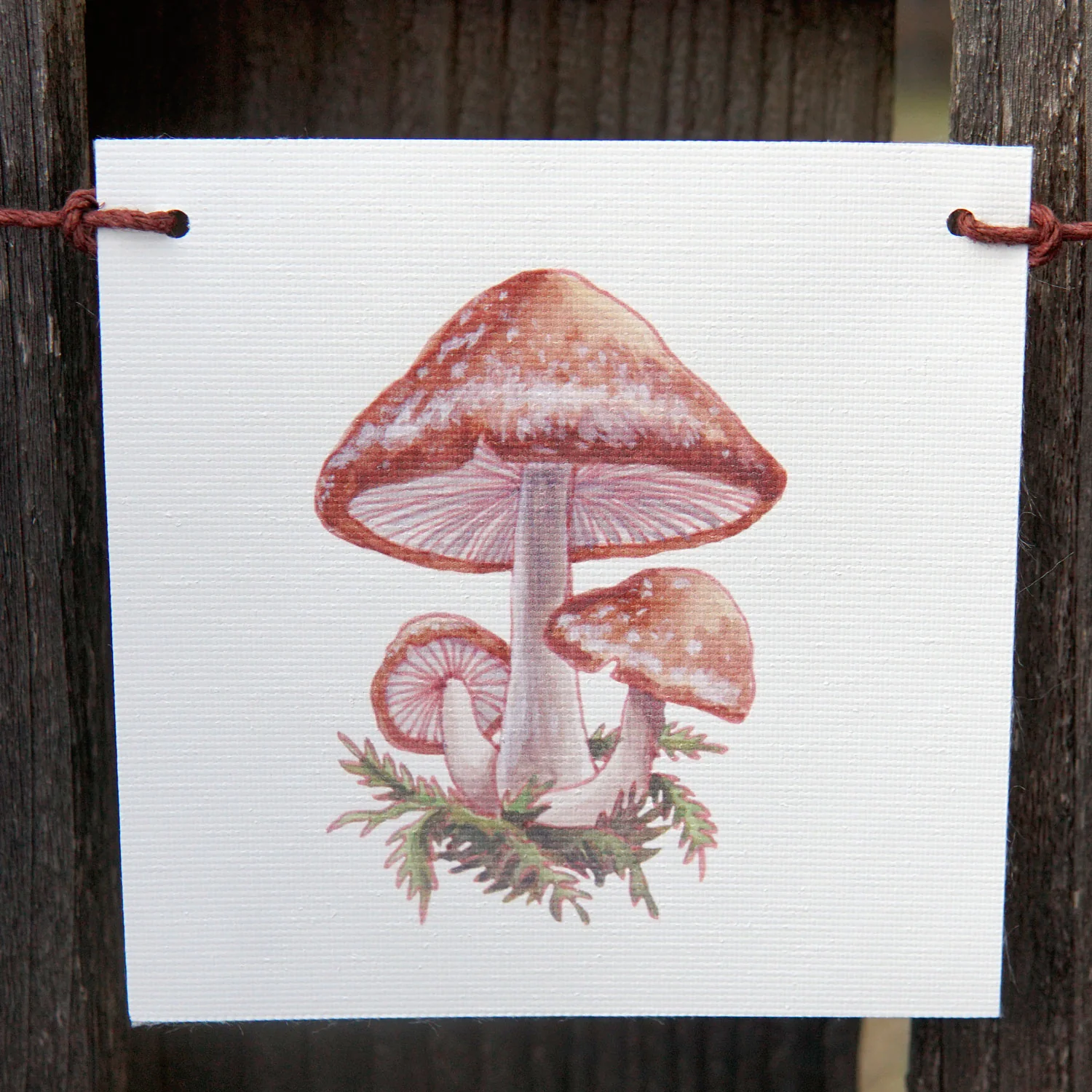 Mushroom Flags Decorative Accessory - Image 2