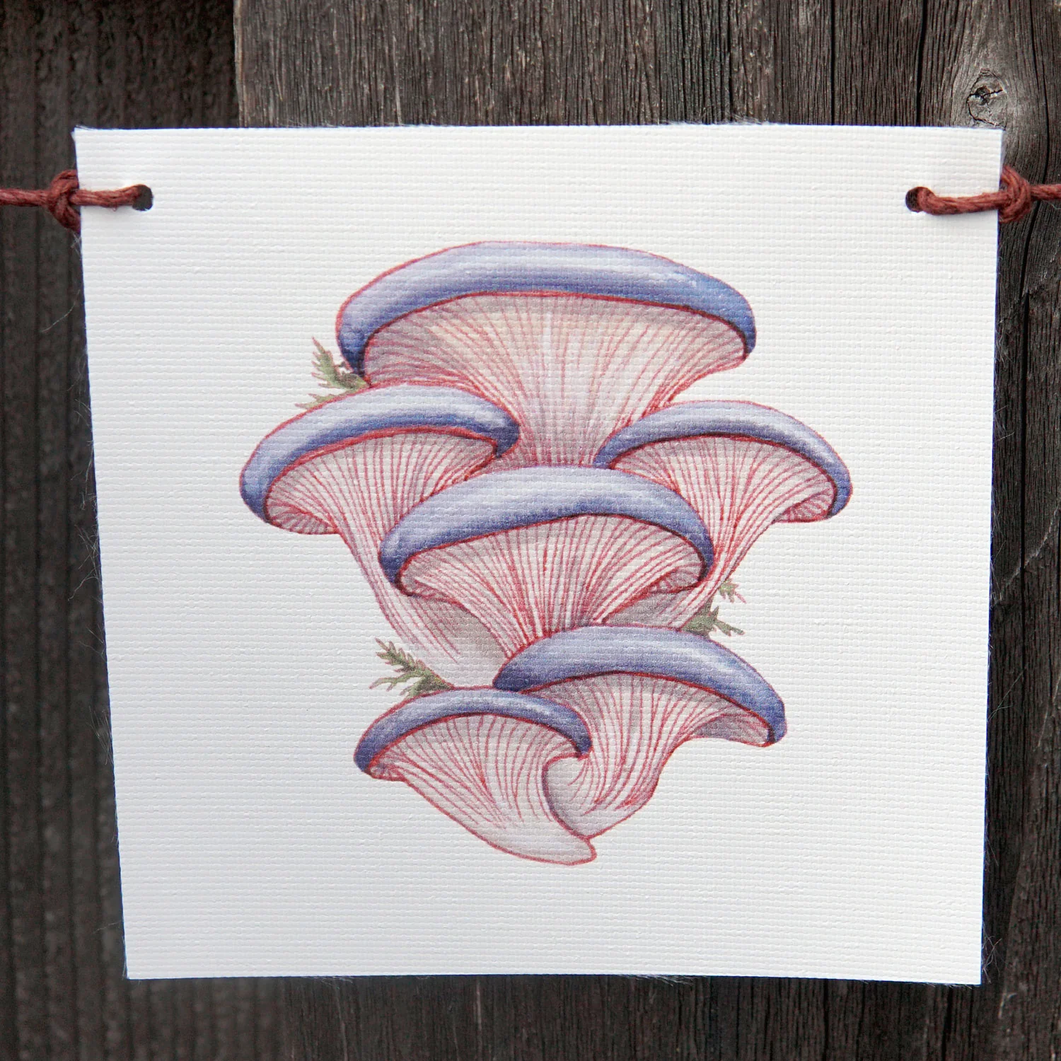 Mushroom Flags Decorative Accessory - Image 3