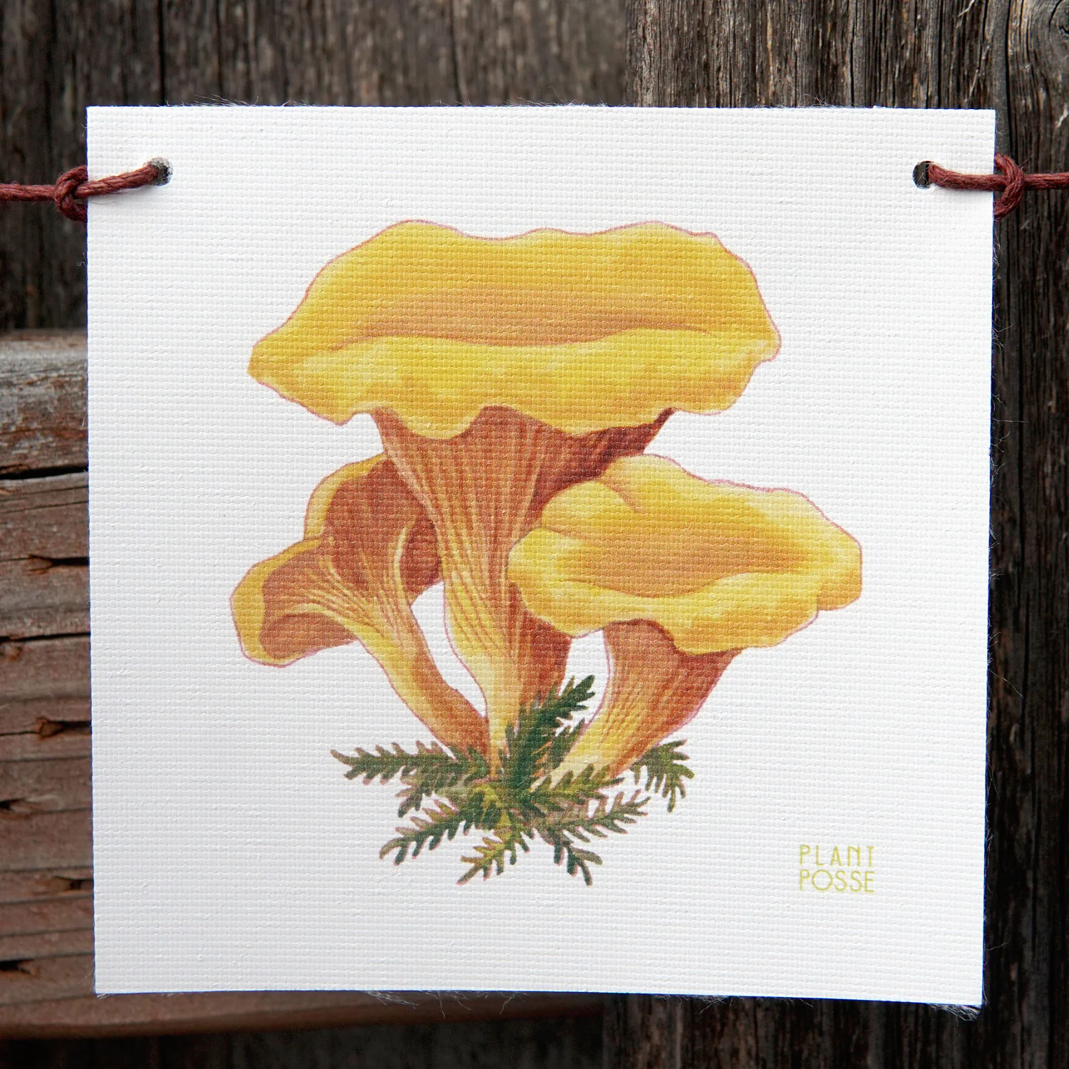 Mushroom Flags Decorative Accessory - Image 7