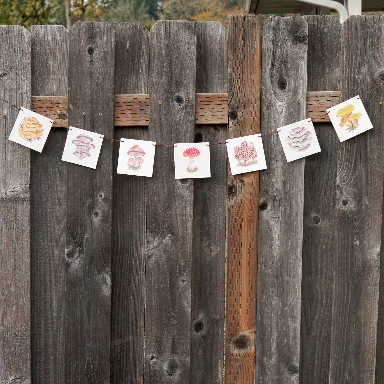 Mushroom Flags Decorative Accessory - Image 8