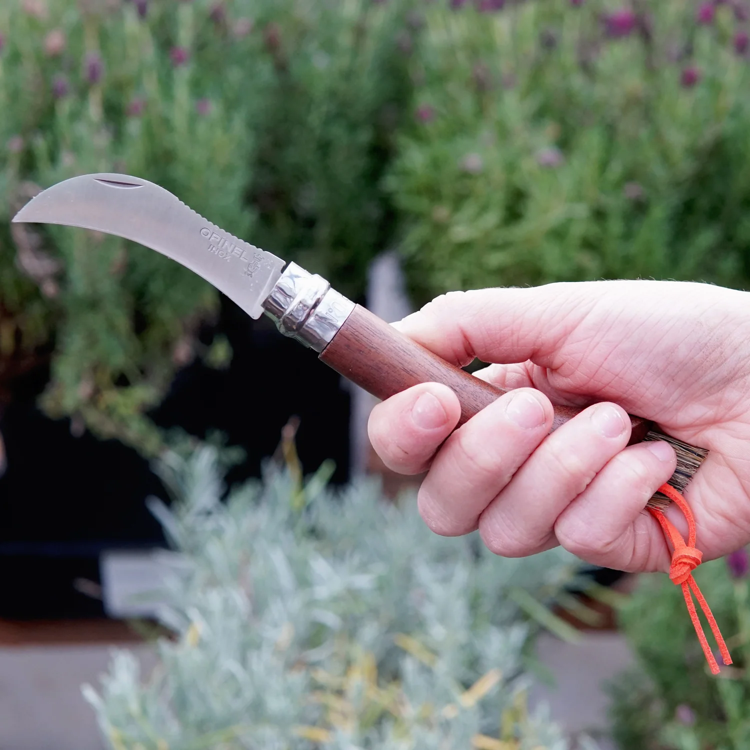 Mushroom Knife