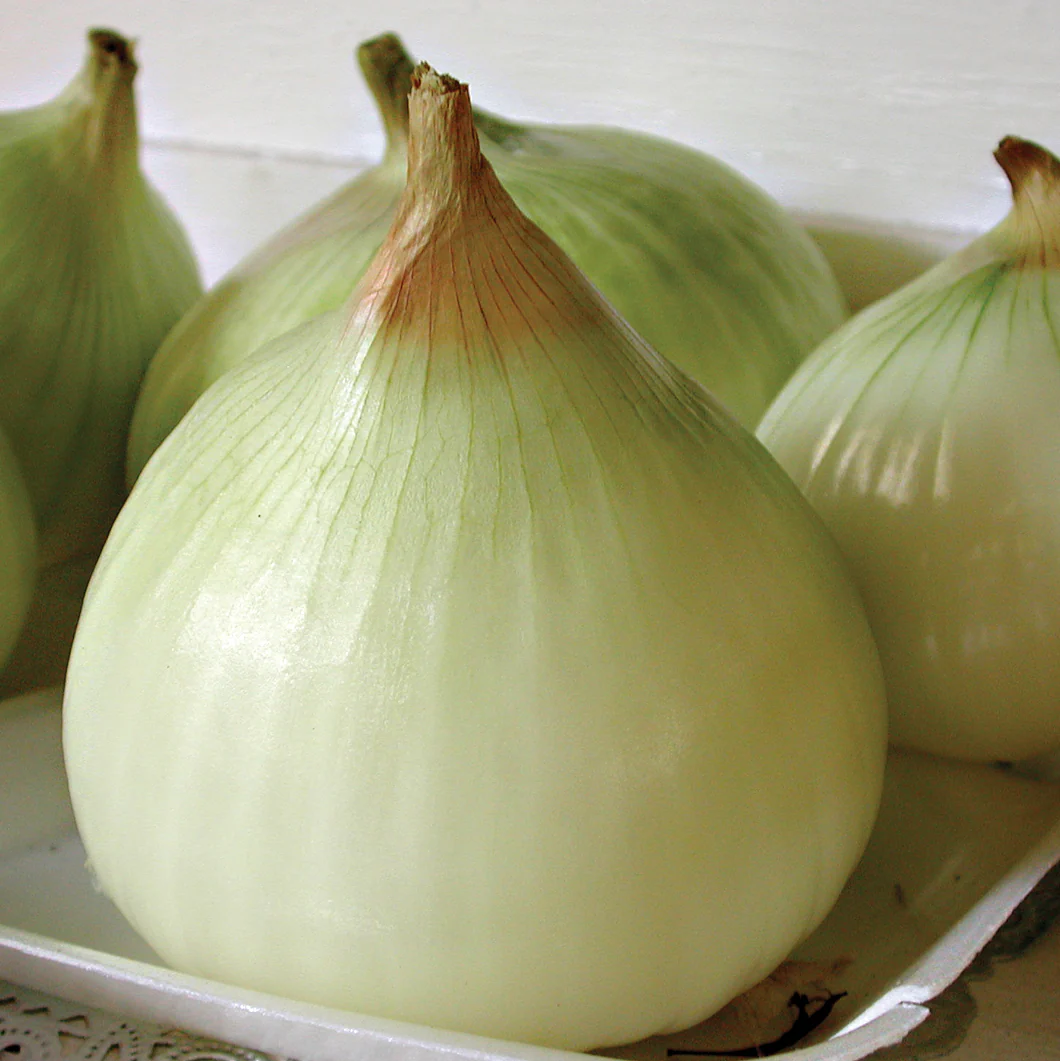 Walla Walla Onion - Image 4