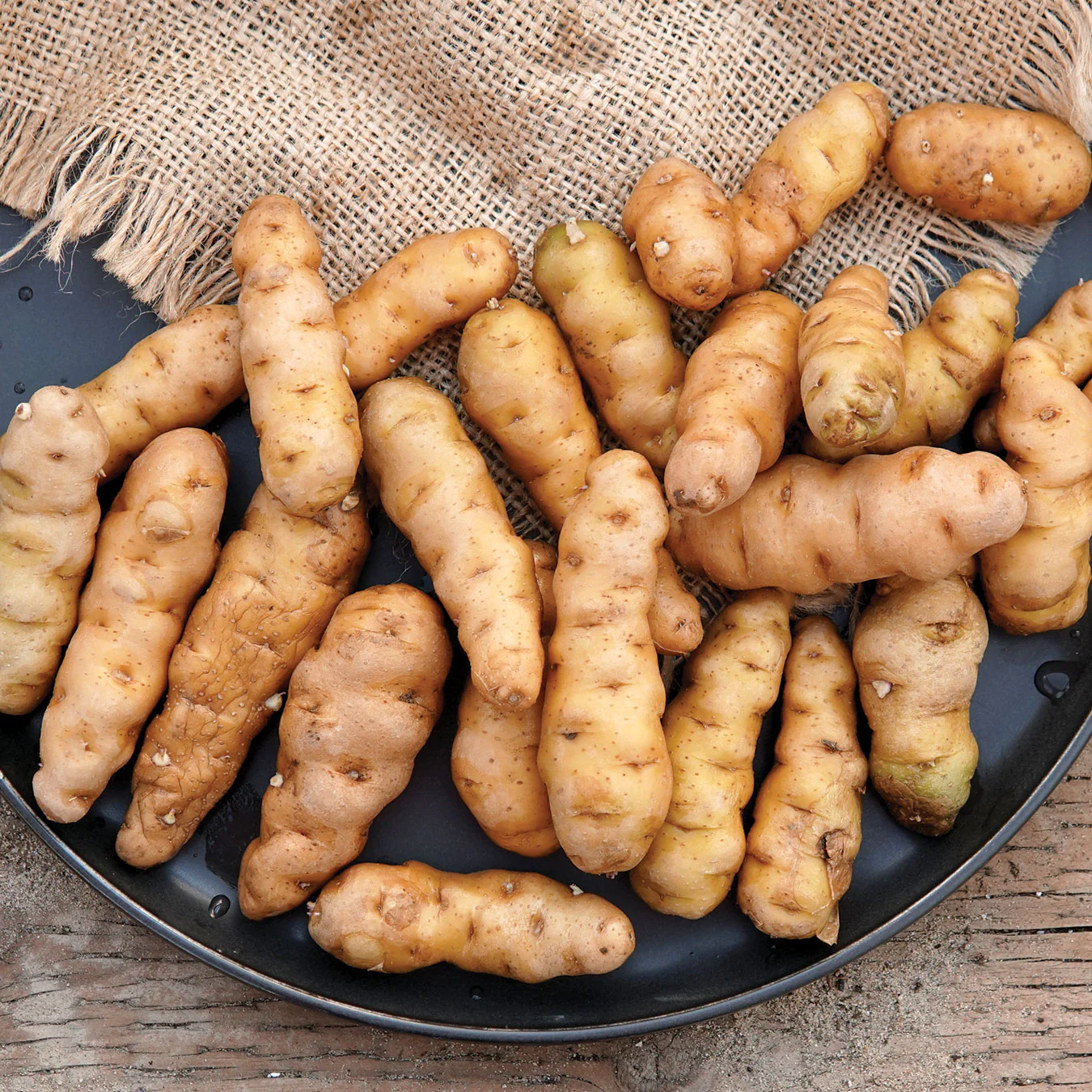 Ozette Potato