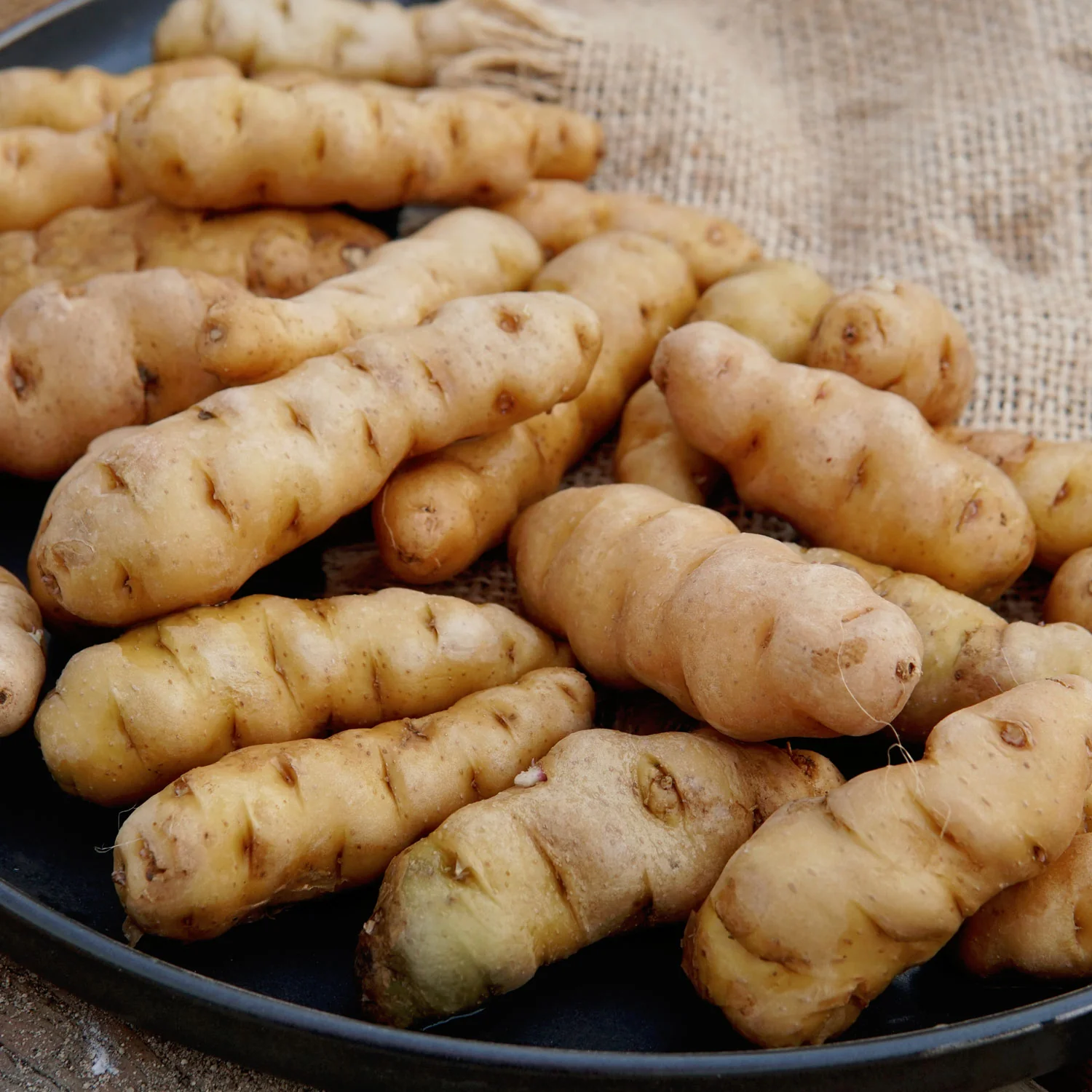 Ozette Potato - Image 3