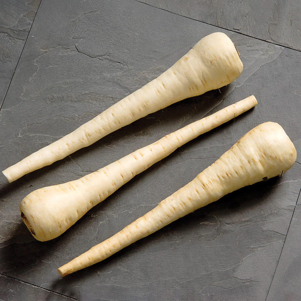 White Spear Parsnip