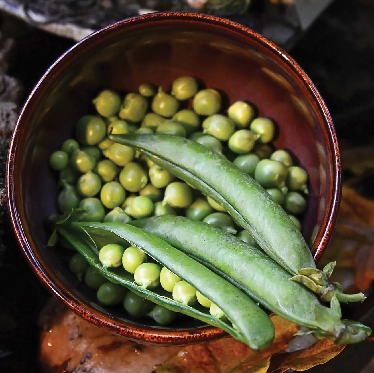 Lincoln Pea