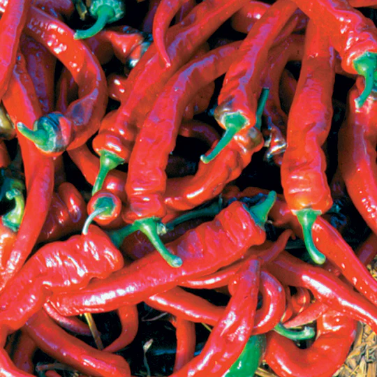 Jimmy Nardello's Pepper - Image 2