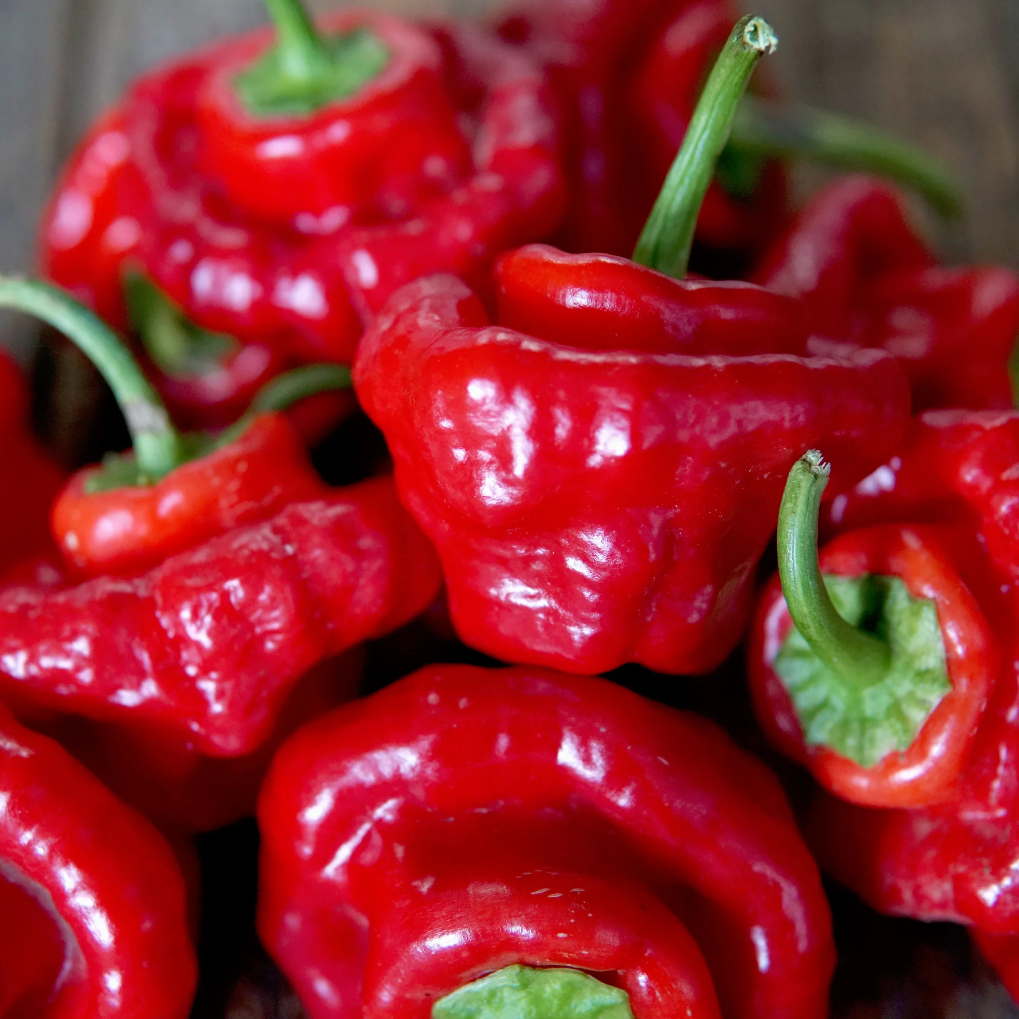Red Mushroom Pepper - Image 2