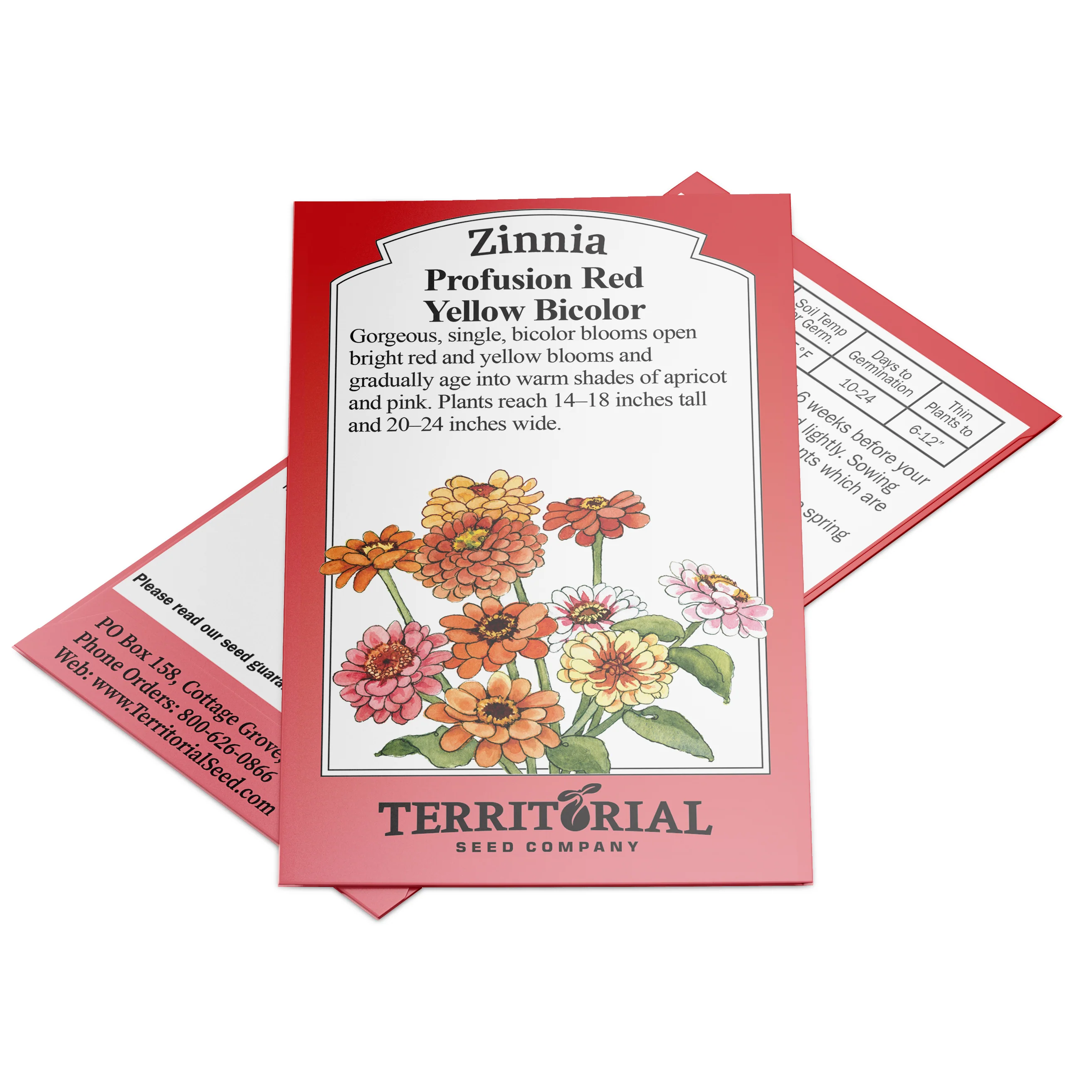Profusion Red Yellow Bicolor Zinnia - Image 6