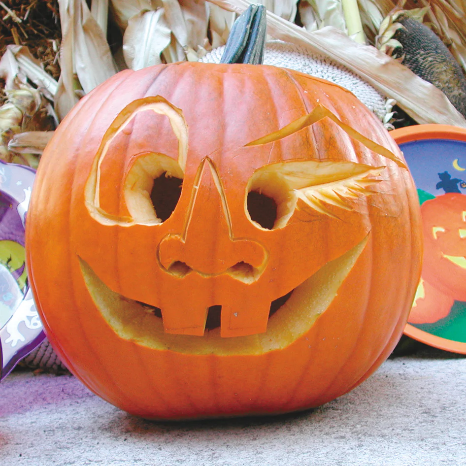 Magic Lantern Pumpkin - Image 2