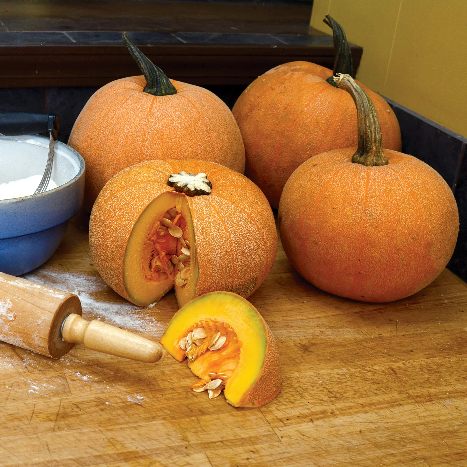Winter Luxury Pumpkin - Image 2