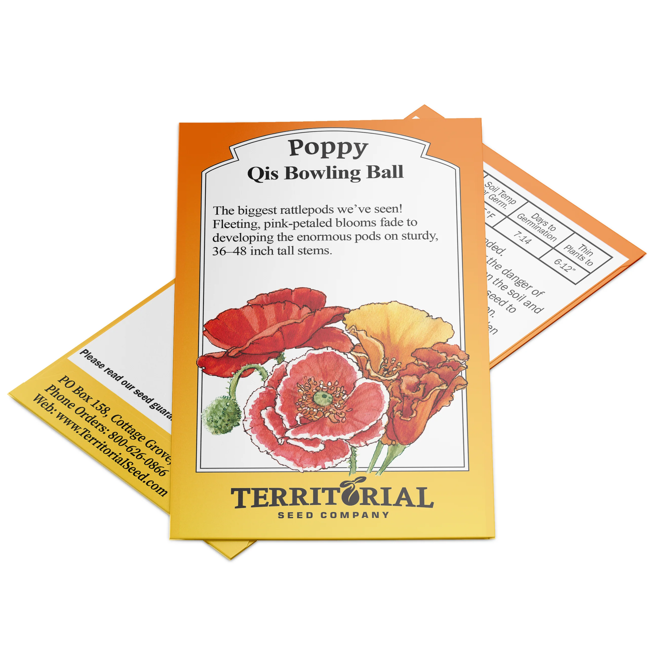 Qis® Bowling Ball Poppy - Image 3
