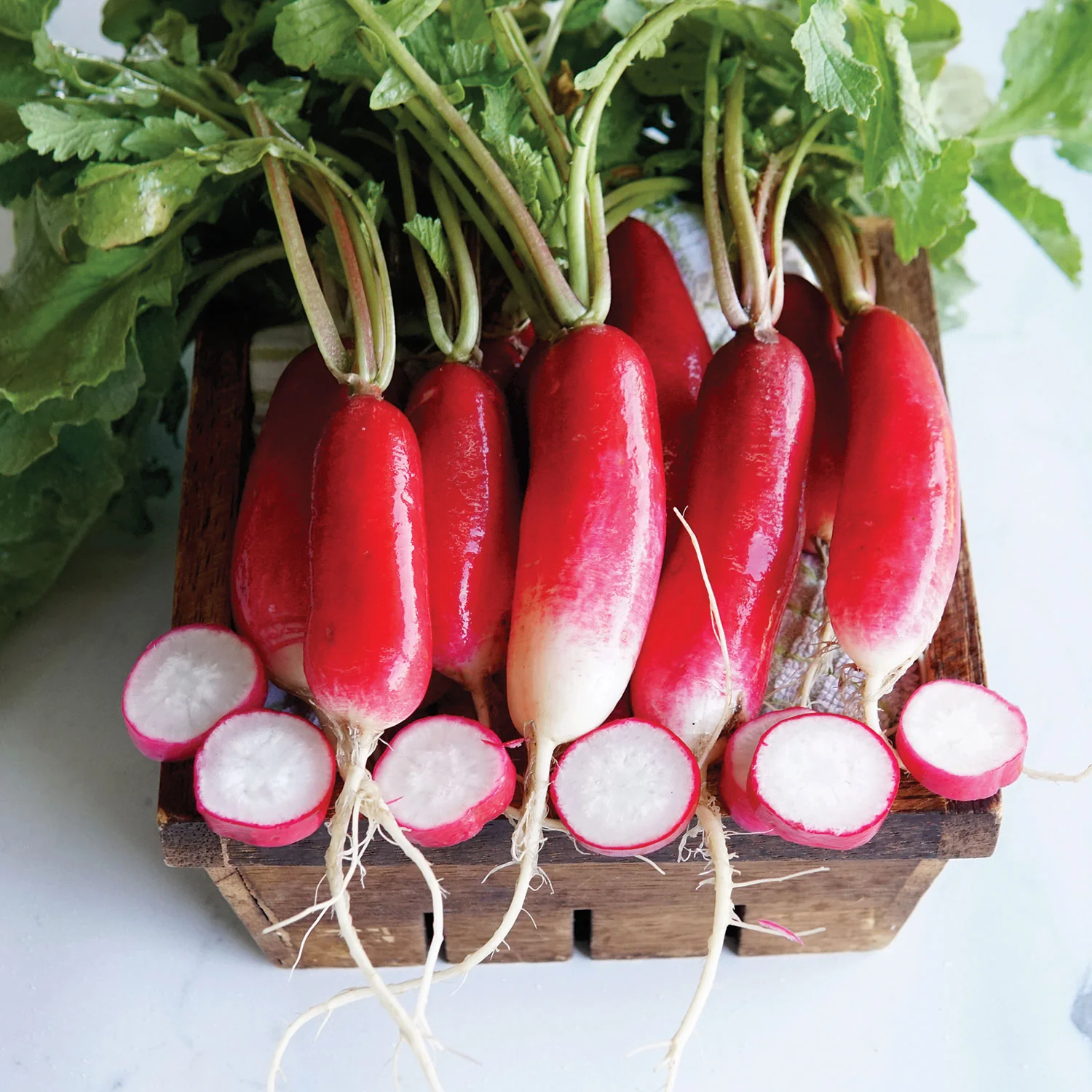 French Breakfast Radish - Image 2