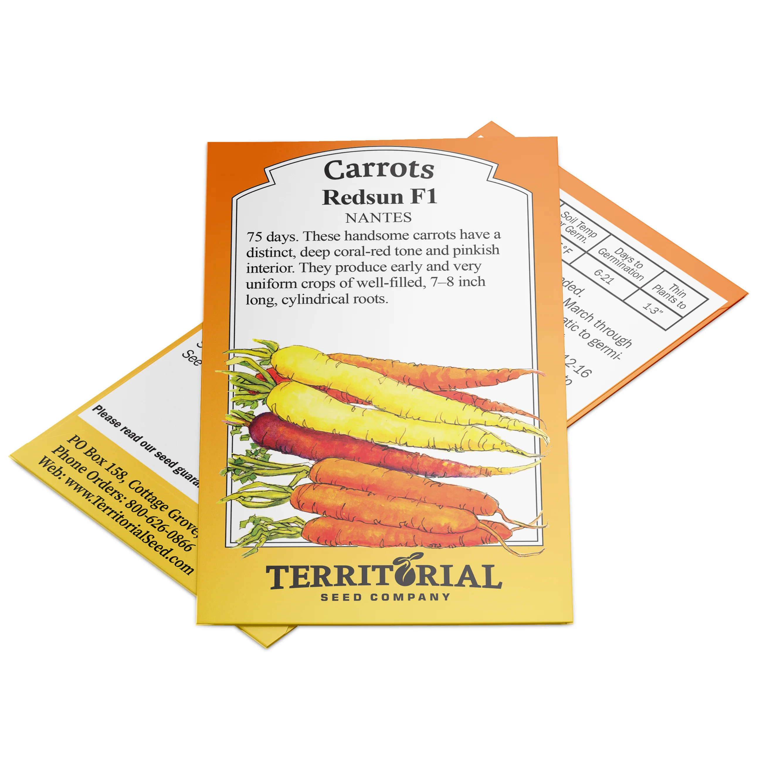 Redsun Carrot - Image 2