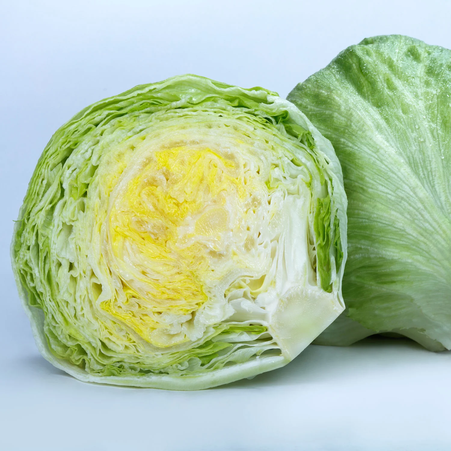 Regency 3.0 Lettuce - Image 2