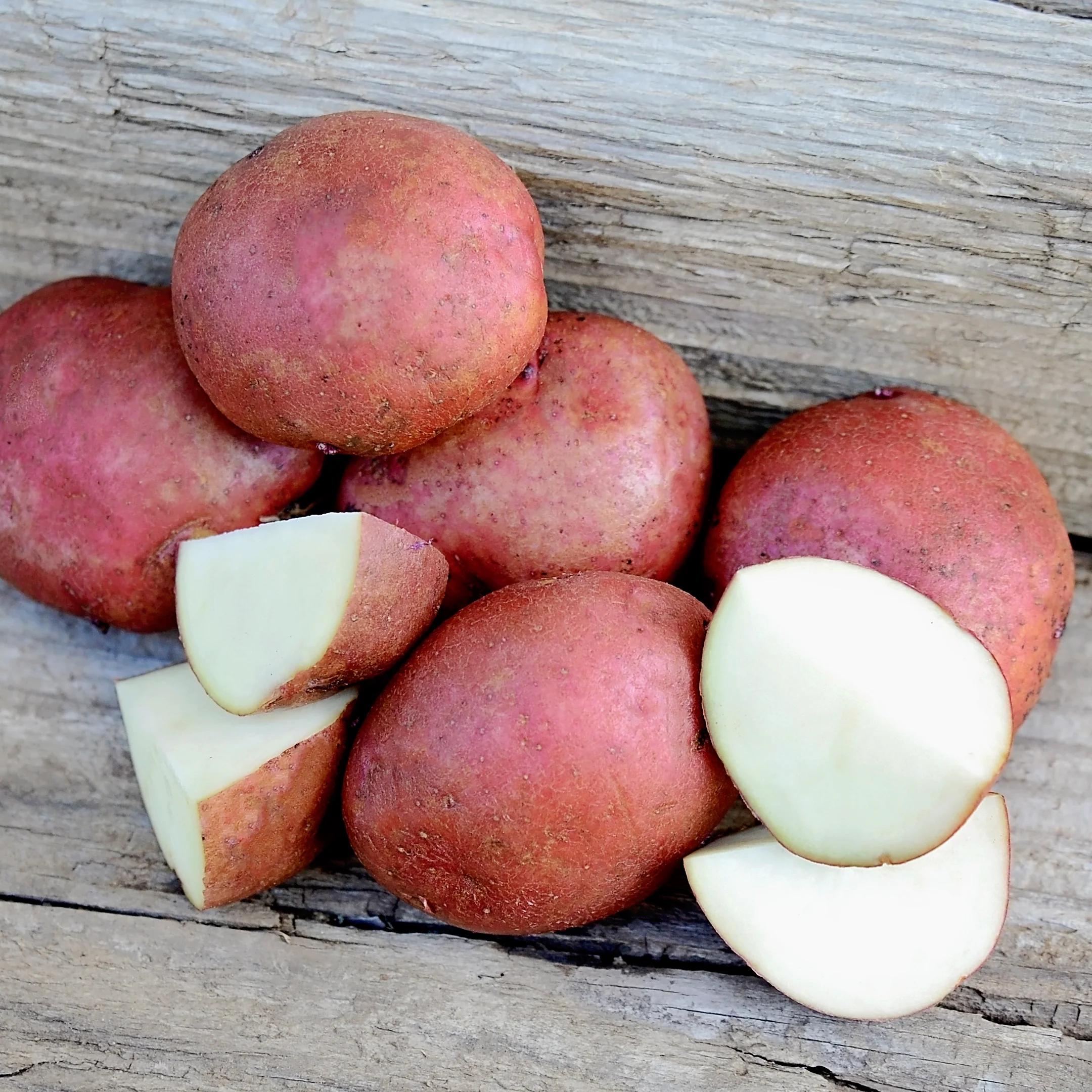 Sangre Potato - Image 2